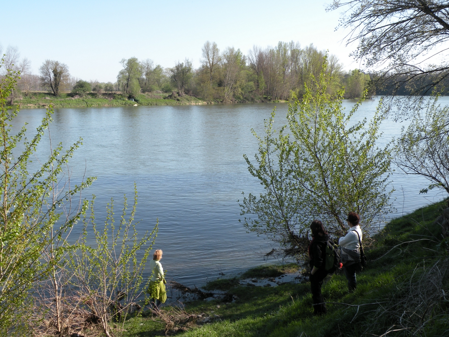 LE RAMIER DE BIGORRE