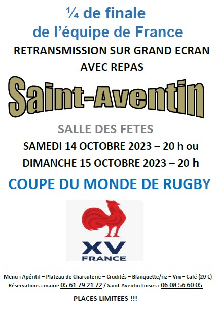 RETRANSMISSION COUPE DU MONDE DE RUGBY