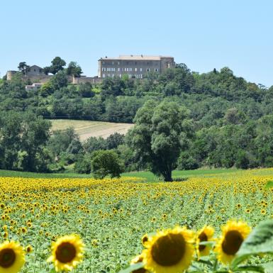 saint_felix_2018 (1)
