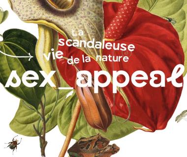 Exposition sex-appeal au Muséum de Toulouse 