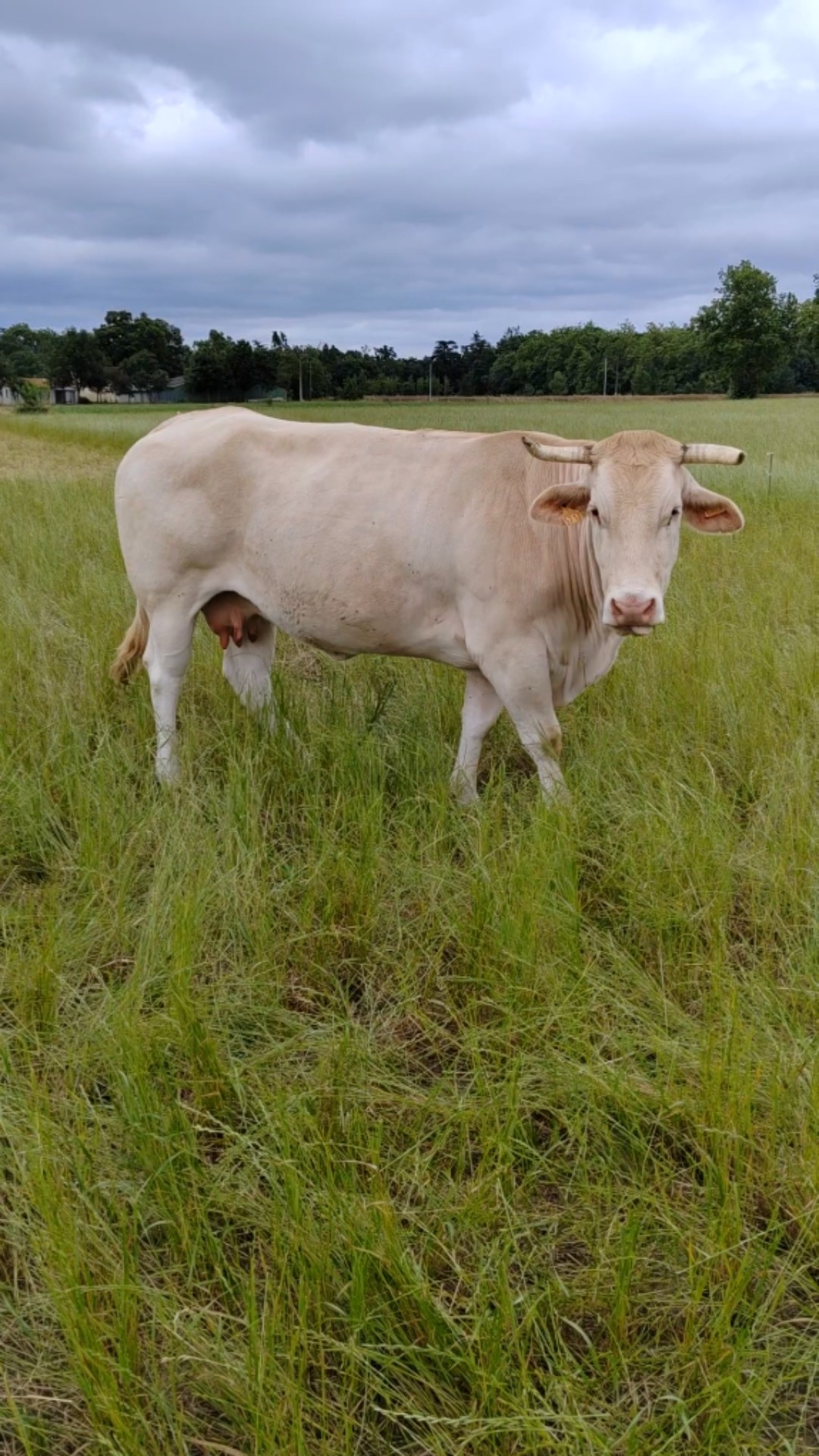 Ferme de la Bouriette
