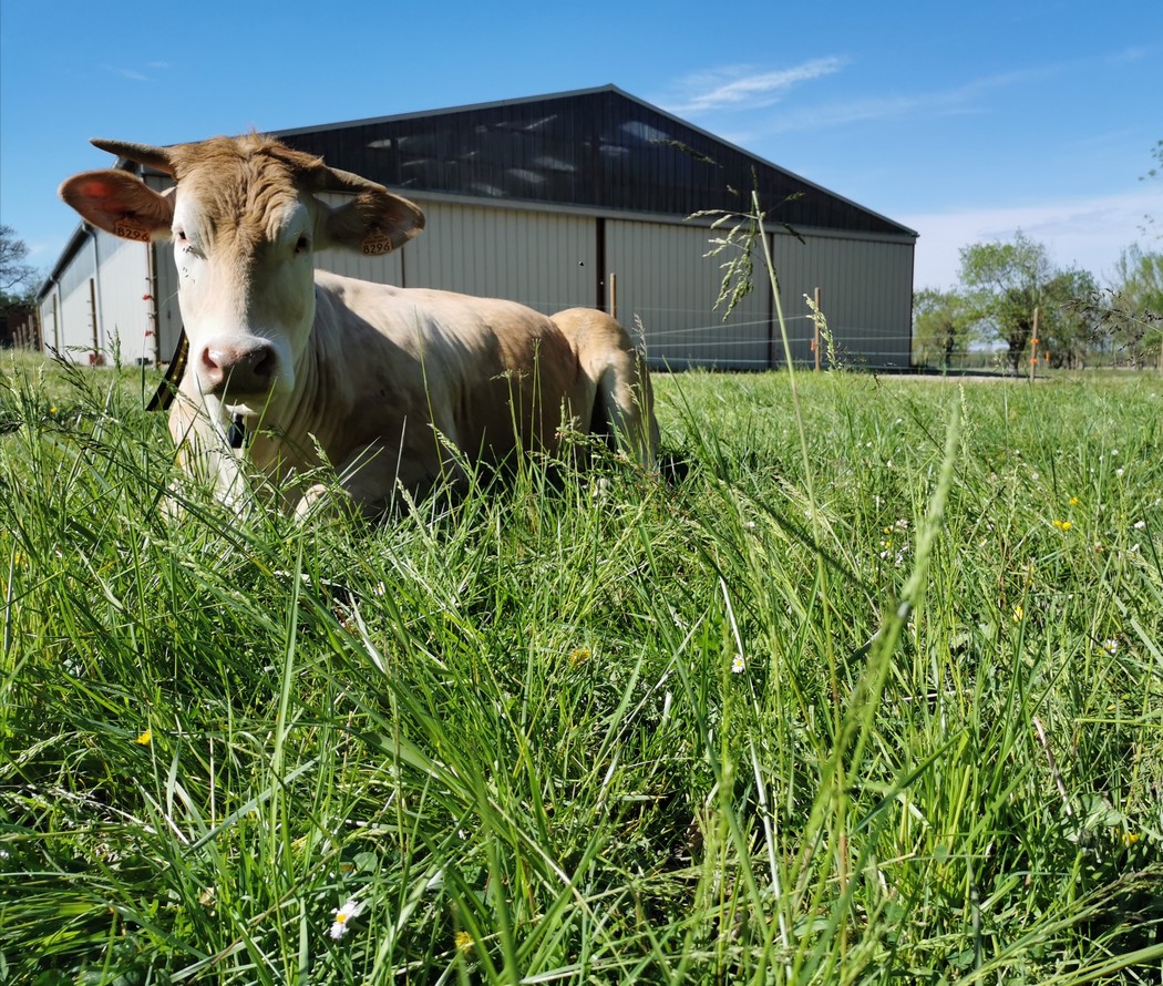 Ferme de la Bouriette