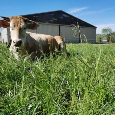 FERME DE LA BOURIETTE