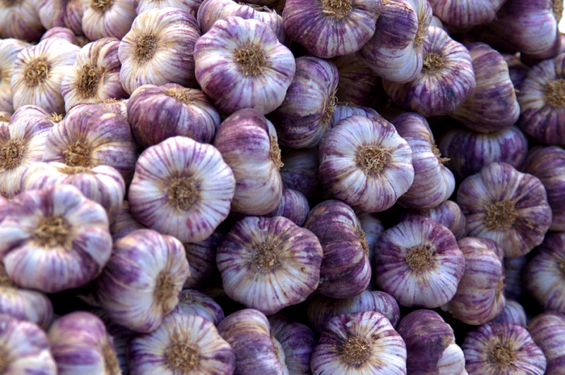 HISTOIRE DES MARCHÉS DE CADOURS, CADOURS