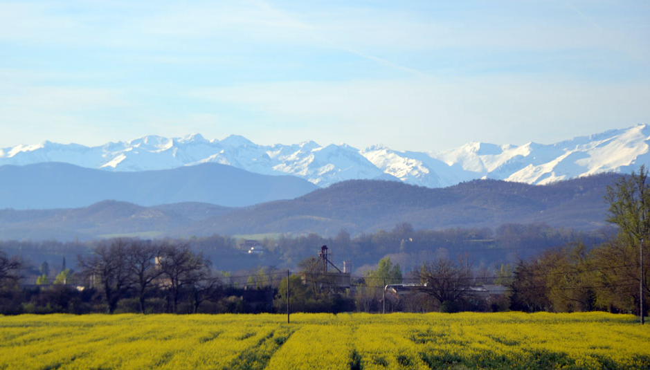 DOMAINE DE SIMORRE - CAZERES, Cazères - photo 9